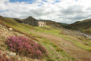 06-9086 The Remains of the Surrender Lead Smelt Mill With Purple Heather in Foreground, Swaledale, Yorkshire